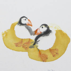 Claire Harkess RSW - Puffins i