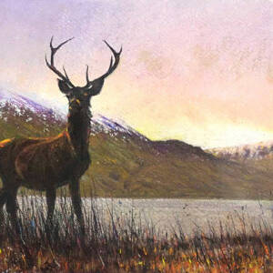 Philip  Edwards - Loch Quaich and The Stag at Sunrise