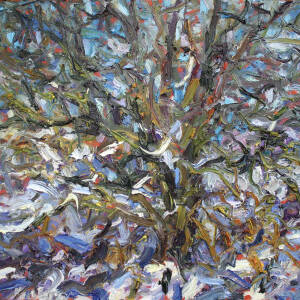 Jonathan Shearer - Winter Willow