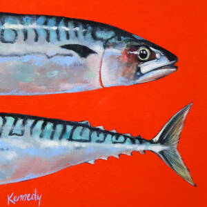 Paul  Kennedy - Mackerel Study Vermillion