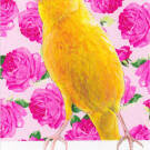 Stanley Bird - Scent of Roses