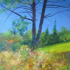 Davy Brown - Pine Tree and Poppies