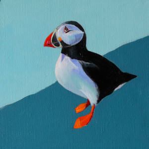 Paul  Kennedy - Puffin Study