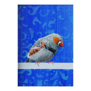 Stanley Bird - Meditation