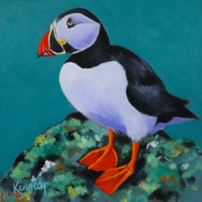 Paul  Kennedy - Puffin Study