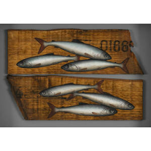 Donald Provan - Split Number