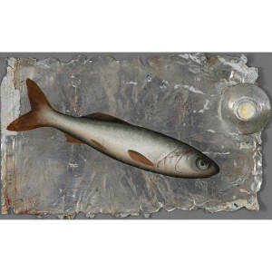 Donald Provan - White on White