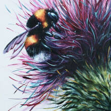 Georgina McMaster - Baxter