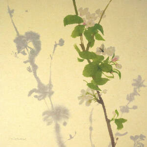 Claire Harkess RSW - Hover