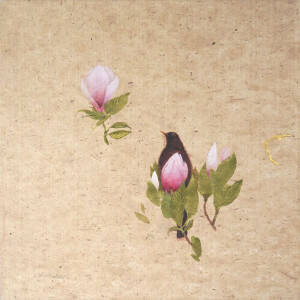 Claire Harkess RSW - Magnolia Tree