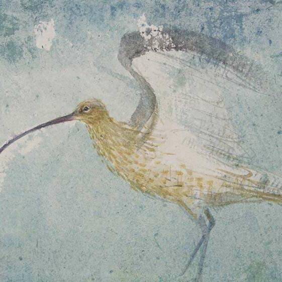 Claire Harkess RSW - Curlew