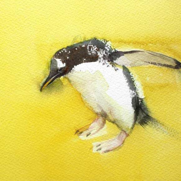 Claire Harkess RSW - Gentoo Penguin