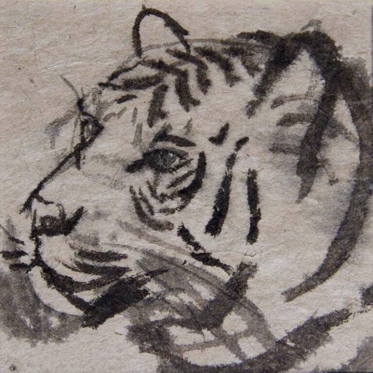Claire Harkess RSW - Wee Tiger
