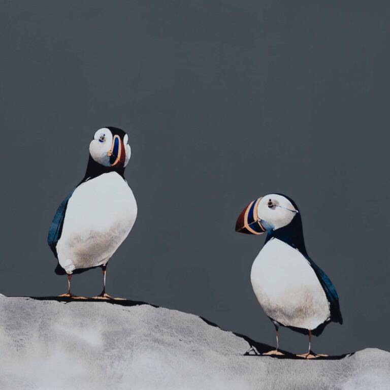 Ron  Lawson Prints - Lunga Puffins (Framed Limited Edition Print)