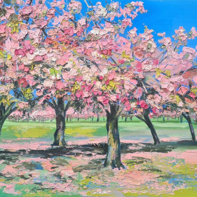 Judith I. Bridgland - Cherry Blossom, The Meadows, Edinburgh