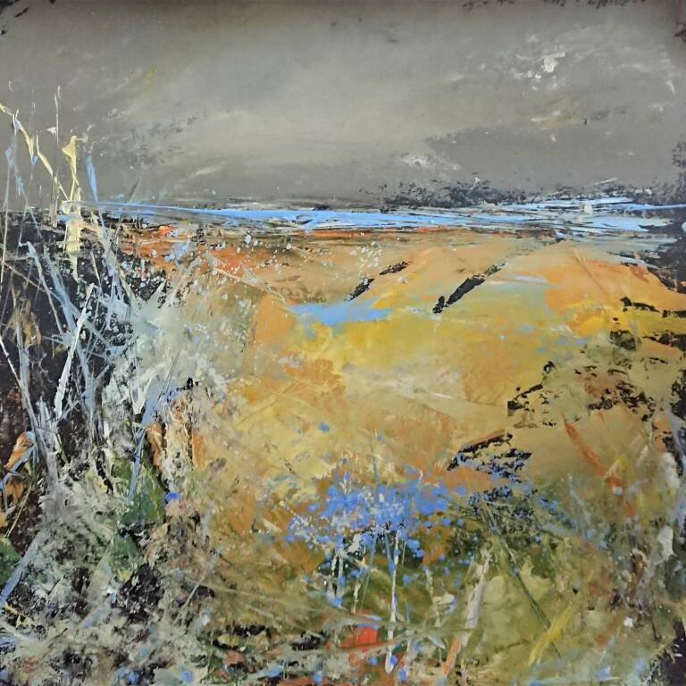 Ian Rawnsley - Coastal Fields